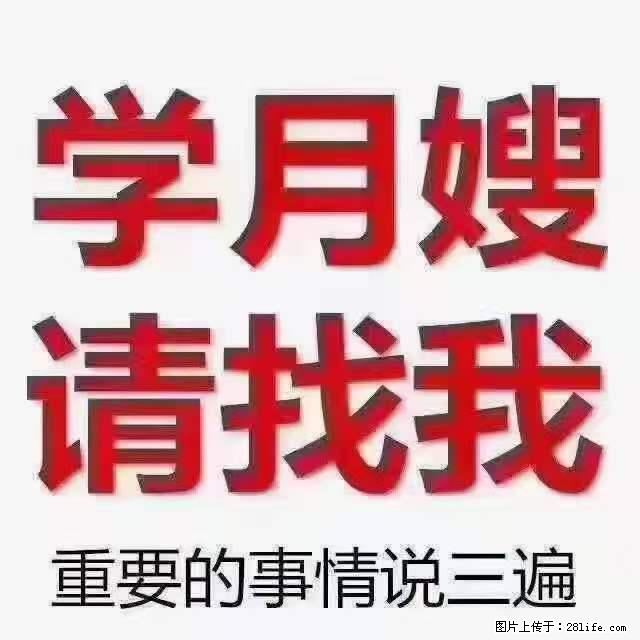 为什么要学习月嫂,育婴师? - 其他广告 - 广告专区 - 曲靖分类信息 - 曲靖28生活网 qj.28life.com