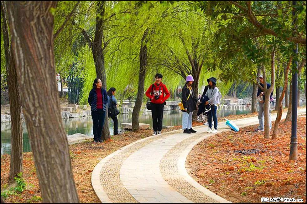 【春天,广西桂林灌阳县向您发出邀请!】江口老街又逢春 - 游山玩水 - 曲靖生活社区 - 曲靖28生活网 qj.28life.com