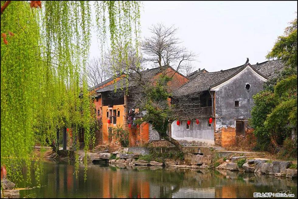 【春天,广西桂林灌阳县向您发出邀请!】江口老街又逢春 - 游山玩水 - 曲靖生活社区 - 曲靖28生活网 qj.28life.com