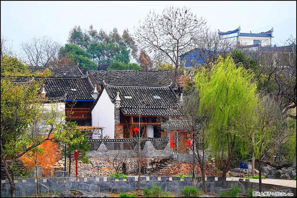 【春天,广西桂林灌阳县向您发出邀请!】江口老街又逢春 - 游山玩水 - 曲靖生活社区 - 曲靖28生活网 qj.28life.com
