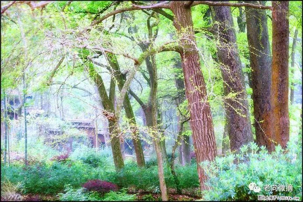 【春天,广西桂林灌阳县向您发出邀请!】在小龙村与春天约会 - 游山玩水 - 曲靖生活社区 - 曲靖28生活网 qj.28life.com