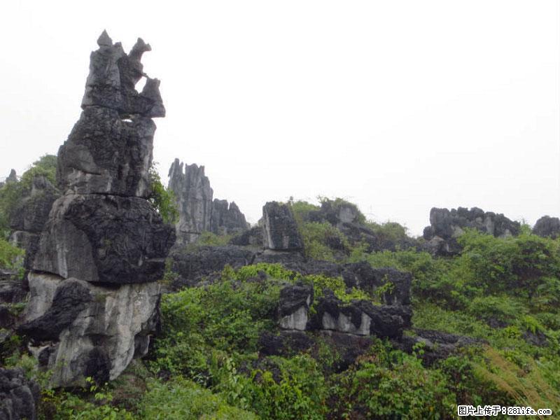 桂林旅游名城景点:灌阳文市石林 - 游山玩水 - 曲靖生活社区 - 曲靖28生活网 qj.28life.com
