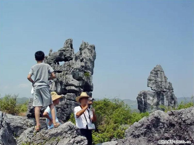 桂林旅游名城景点:灌阳文市石林 - 游山玩水 - 曲靖生活社区 - 曲靖28生活网 qj.28life.com