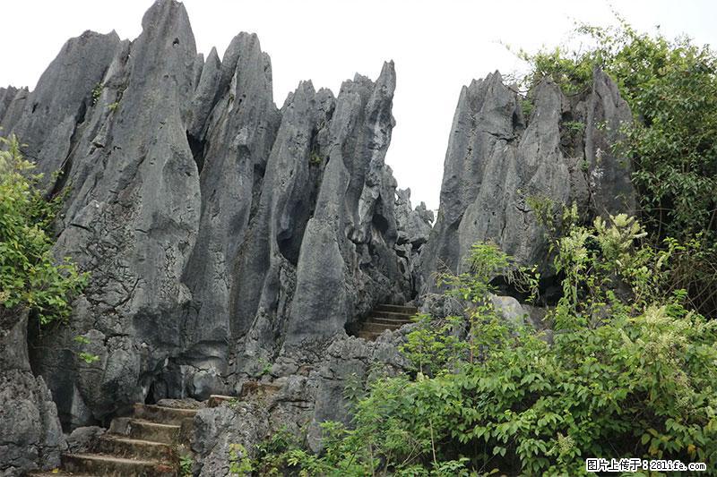 桂林旅游名城景点:灌阳文市石林 - 游山玩水 - 曲靖生活社区 - 曲靖28生活网 qj.28life.com