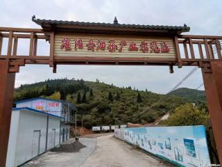 【灌阳县油茶产业示范区】一个有着充实的精神生活的人,对待身外之物自会有一种淡泊的态度 - 曲靖28生活网 qj.28life.com