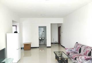 鼎尚名庭 精装单身公寓 带家具家电 可拎包入住 仅租1000 - 曲靖28生活网 qj.28life.com