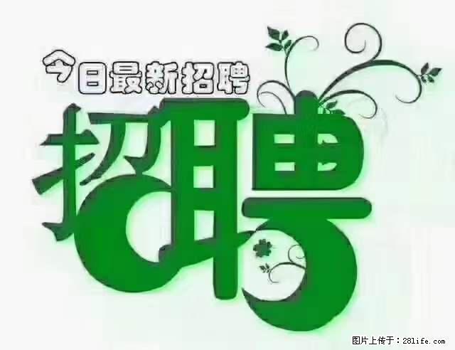【招聘摄像师】待遇:试用期6000元/月,转正7000元/月+五险一金+餐补+节日福利+奖金 - 职场交流 - 曲靖生活社区 - 曲靖28生活网 qj.28life.com