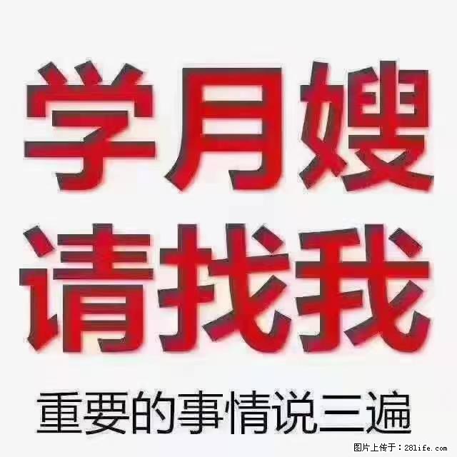 【招聘】月嫂，上海徐汇区 - 职场交流 - 曲靖生活社区 - 曲靖28生活网 qj.28life.com