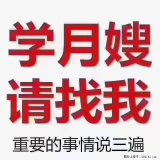 【招聘】月嫂，上海徐汇区 - 曲靖28生活网 qj.28life.com