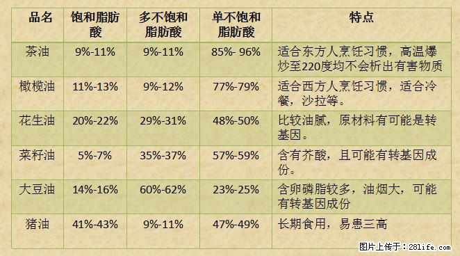 揭秘茶油的5大核心营养成分!被称为人体健康的“守护盾”! - 曲靖生活资讯 - 曲靖28生活网 qj.28life.com