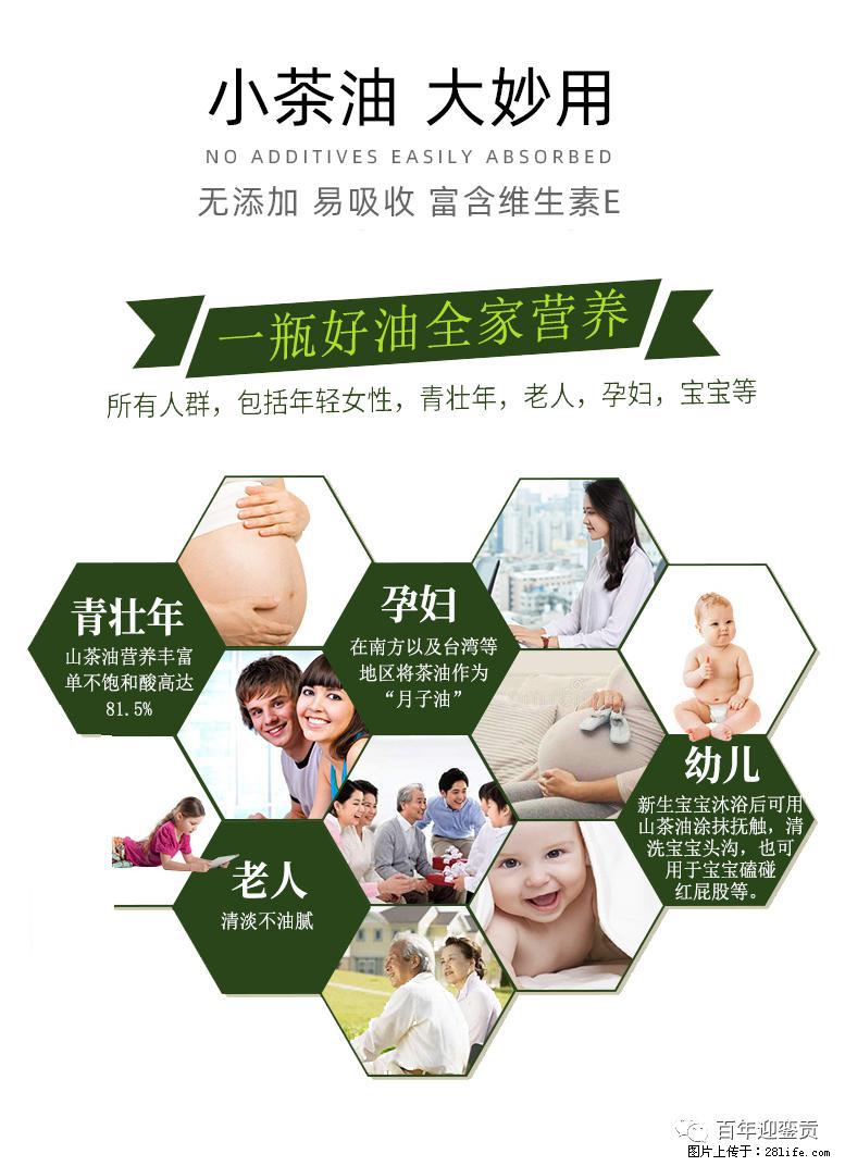 世界没有真相,只有认知,最好的食用油是中国的山茶油! - 曲靖生活资讯 - 曲靖28生活网 qj.28life.com