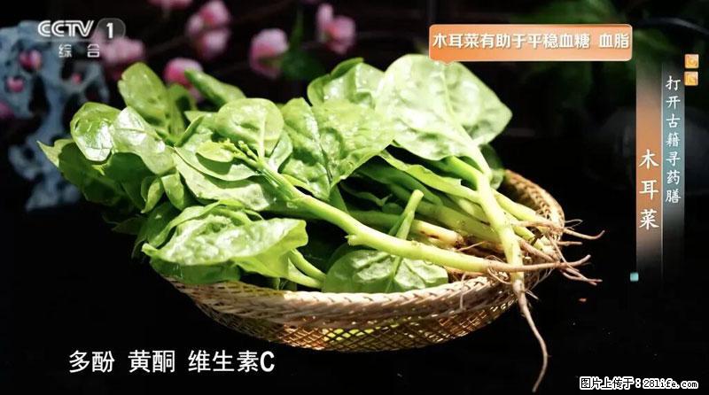 比牛奶补钙还厉害！凉血解毒、稳血糖...这菜冬天必吃，很多人却当草 - 曲靖生活资讯 - 曲靖28生活网 qj.28life.com