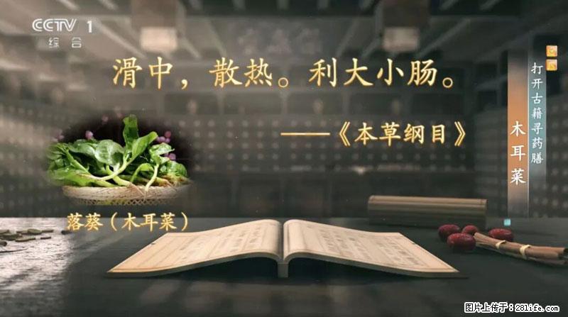 比牛奶补钙还厉害！凉血解毒、稳血糖...这菜冬天必吃，很多人却当草 - 曲靖生活资讯 - 曲靖28生活网 qj.28life.com