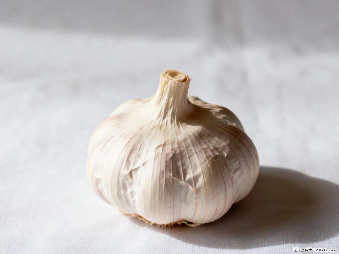关于大蒜，除了“天然抗生素”，这4个谣言更该警惕! - 曲靖生活资讯 - 曲靖28生活网 qj.28life.com