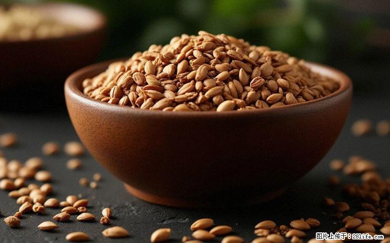 这三苦是三高“克星”，心血管干净不易堵！每天吃一点，指标慢慢降下来~ - 曲靖生活资讯 - 曲靖28生活网 qj.28life.com