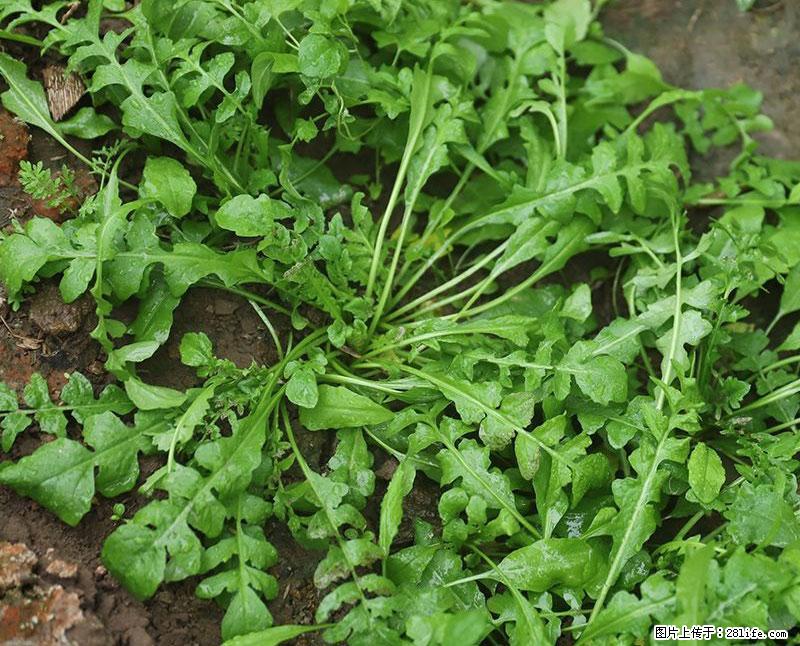 这些蔬菜是“天然钙片”，这6种被医生重点推荐 - 曲靖生活资讯 - 曲靖28生活网 qj.28life.com