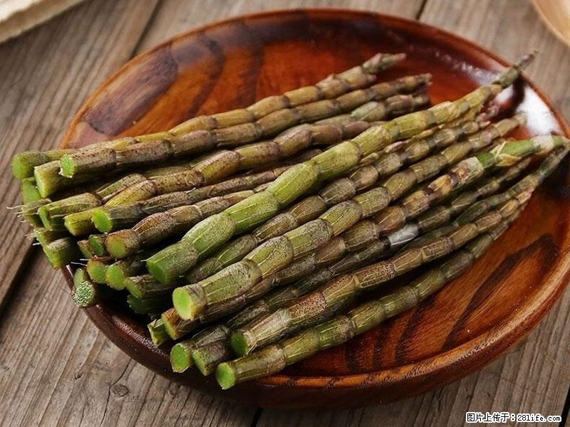 铁皮石斛的作用与功能主治 - 曲靖生活资讯 - 曲靖28生活网 qj.28life.com