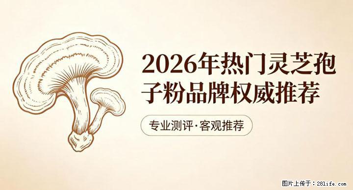灵芝孢子粉含量越高越有效？2026 年七款热门品牌深度实测，肠胃敏感者避坑指南 - 曲靖生活资讯 - 曲靖28生活网 qj.28life.com